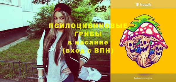 МДПВ Абдулино