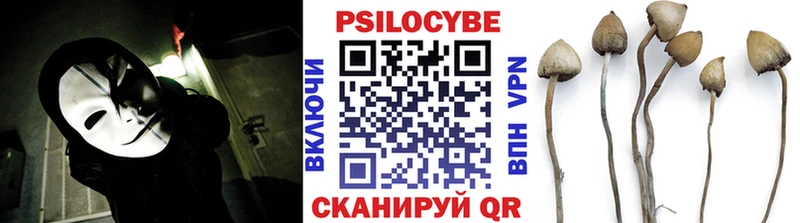 Галлюциногенные грибы Psilocybe  мега как войти  Сызрань 